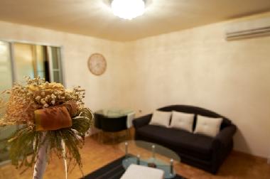 Holiday Apartment in Beograd (Central Serbia) or holiday homes and vacation rentals