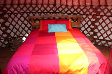 comfy bed