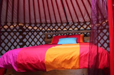 comfy bed