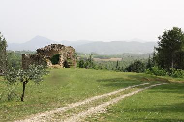Holiday House in Citta`di Castello (Perugia) or holiday homes and vacation rentals