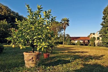 Holiday Apartment in Lucca (Lucca) or holiday homes and vacation rentals