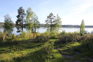 View from house towards lake