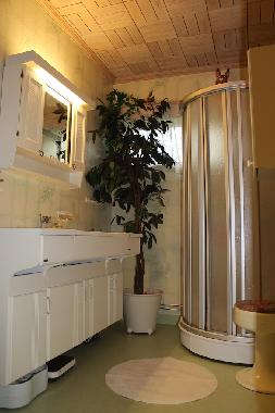 Bath with shower and wc