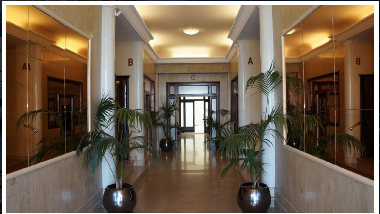 Holiday Apartment in nice (Alpes-Maritimes) or holiday homes and vacation rentals