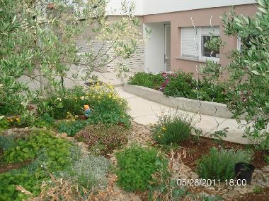 Holiday Apartment in Dobropoljana (Zadarska) or holiday homes and vacation rentals