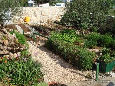 Holiday Apartment in Dobropoljana (Zadarska) or holiday homes and vacation rentals