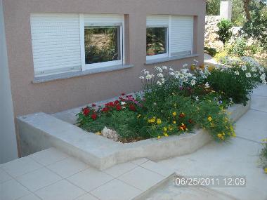 Holiday Apartment in Dobropoljana (Zadarska) or holiday homes and vacation rentals