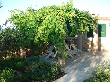 Holiday Apartment in Dobropoljana (Zadarska) or holiday homes and vacation rentals