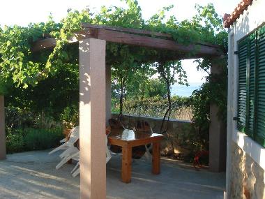 Holiday Apartment in Dobropoljana (Zadarska) or holiday homes and vacation rentals