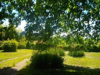 Holiday House in Chepniers (Charente-Maritime) or holiday homes and vacation rentals