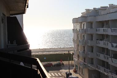 Holiday Apartment in Aveiro (Norte) or holiday homes and vacation rentals