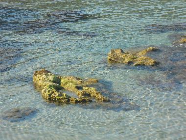 crystal clear  waters