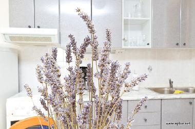 Apartment 2, detail, kitchen 