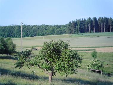 Holiday Apartment in Kommen (Hunsr�ck - Nahe) or holiday homes and vacation rentals