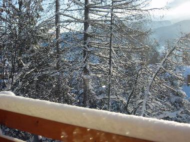 Holiday Apartment in Kocsielisko (Malopolskie) or holiday homes and vacation rentals