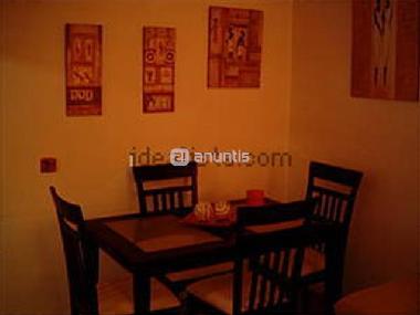 Holiday Apartment in San Fernando (Cdiz) or holiday homes and vacation rentals