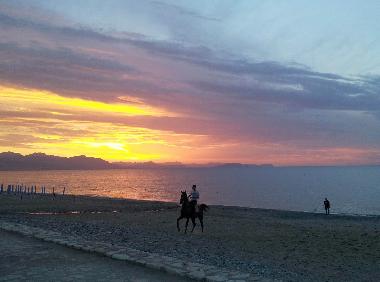 the free beach just in front