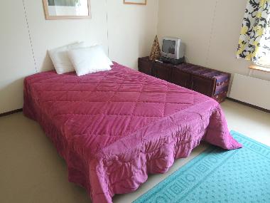 Bedroom downstairs with a bunk bed