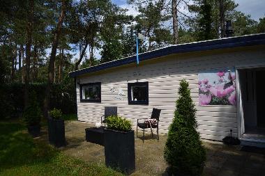 Holiday House in Doornspijk (Gelderland) or holiday homes and vacation rentals