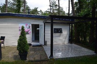 Holiday House in Doornspijk (Gelderland) or holiday homes and vacation rentals