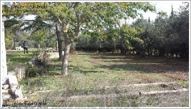 Holiday Apartment in Supersano (Lecce) or holiday homes and vacation rentals