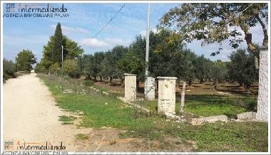 Holiday Apartment in Supersano (Lecce) or holiday homes and vacation rentals