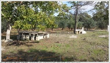 Holiday Apartment in Supersano (Lecce) or holiday homes and vacation rentals