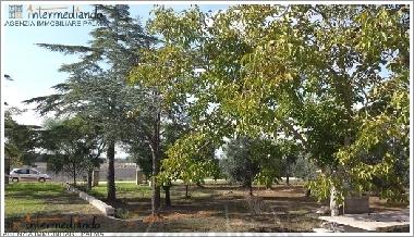 Holiday Apartment in Supersano (Lecce) or holiday homes and vacation rentals