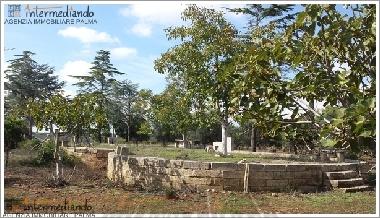 Holiday Apartment in Supersano (Lecce) or holiday homes and vacation rentals