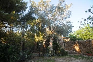 Garden in front of the house