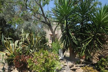 Villa in Castellabate (Salerno) or holiday homes and vacation rentals