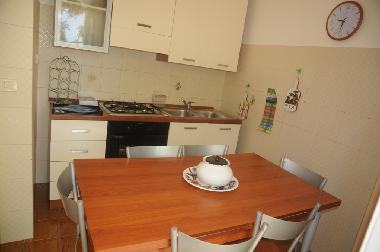 Villa in Castellabate (Salerno) or holiday homes and vacation rentals