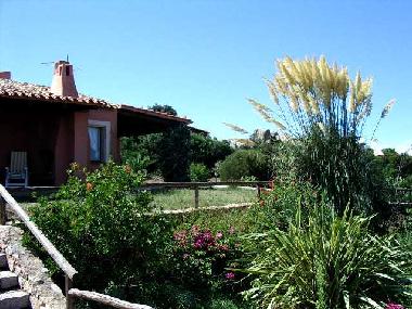 Villa in Santa Teresa Gallura (Olbia-Tempio) or holiday homes and vacation rentals