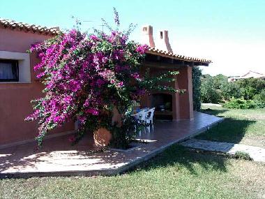 Villa in Santa Teresa Gallura (Olbia-Tempio) or holiday homes and vacation rentals