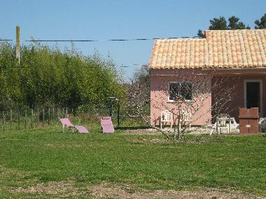 Holiday House in solenzara (Corse-du-Sud) or holiday homes and vacation rentals