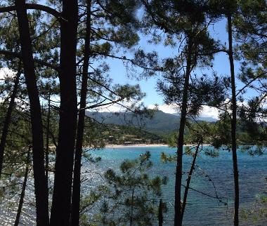 Holiday House in solenzara (Haute-Corse) or holiday homes and vacation rentals