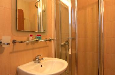 Shower room with shower cubicle, wash basin and toilet