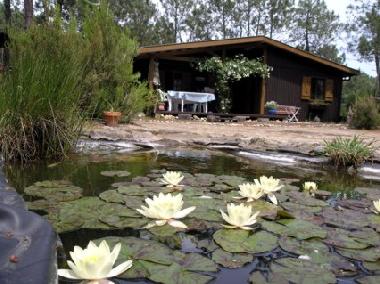 Holiday House in Grayan L&acute;Hopital (Gironde) or holiday homes and vacation rentals