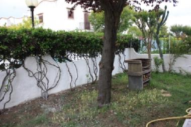 Barbecue in the garden