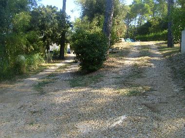 Holiday House in flassans sur issole (Var) or holiday homes and vacation rentals