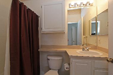 Master Bathroom with shower over bathtub, toilet and washbasin