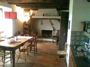Kitchen, Fireplace view and sink (particular)