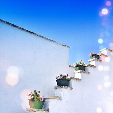 stair to the terrace