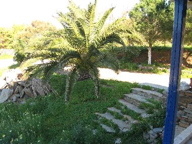 Holiday House in Otzias (Kyklades) or holiday homes and vacation rentals