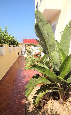 Villa in SIDI bouzid (El Jadida) or holiday homes and vacation rentals