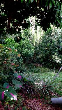 Holiday Apartment in SAINT ESPRIT (Martinique) or holiday homes and vacation rentals