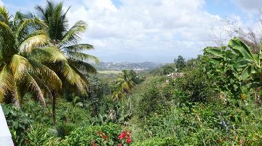 Holiday Apartment in SAINT ESPRIT (Martinique) or holiday homes and vacation rentals