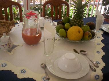 Holiday Apartment in SAINT ESPRIT (Martinique) or holiday homes and vacation rentals