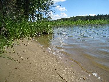 Villa in Mikkeli (Ita-Suomen Laani) or holiday homes and vacation rentals