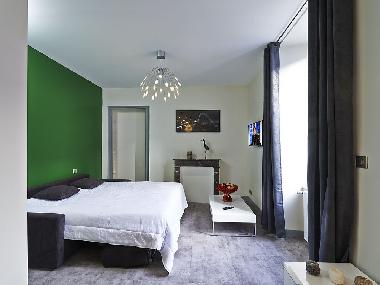 Holiday Apartment in angers (Maine-et-Loire) or holiday homes and vacation rentals